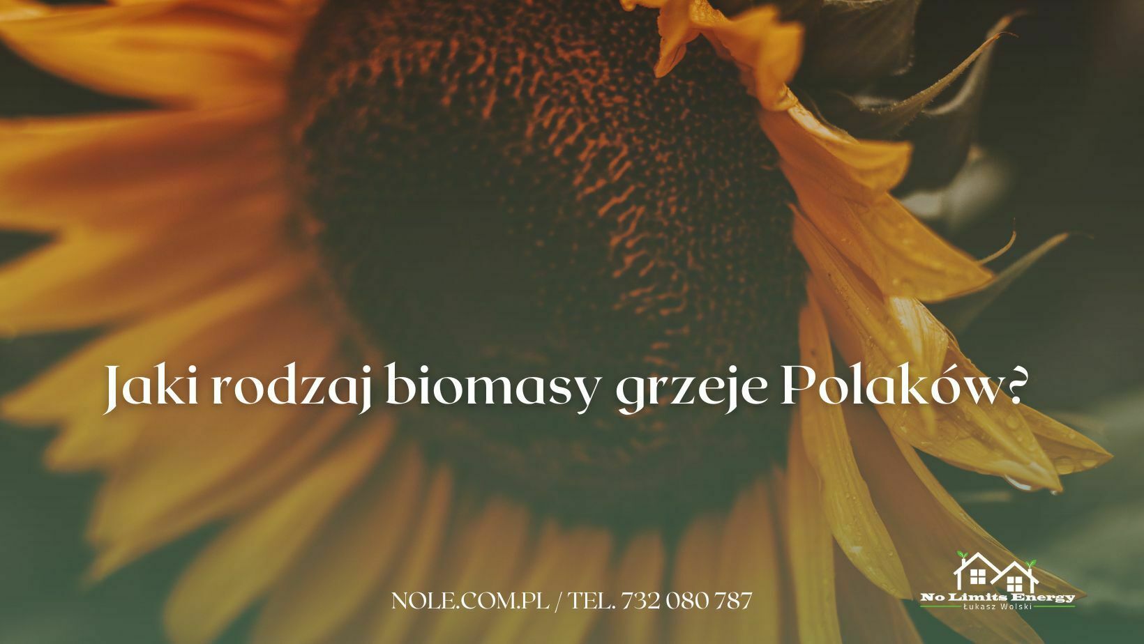 Jaki rodzaj biomasy grzeje Polaków? pellet z biomasy